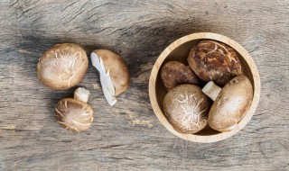 花胶炖香菇的正确方法 花胶炖香菇怎么做