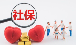 沈阳五险一金查询 沈阳五险一金怎么查询