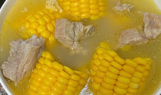 排骨炖玉米一般炖多久 排骨炖玉米炖多久才好吃