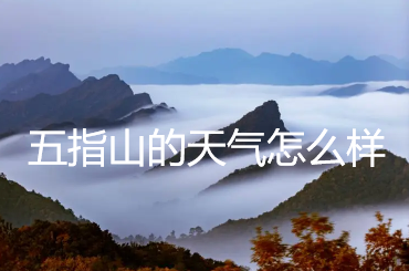 五指山的天气怎么样