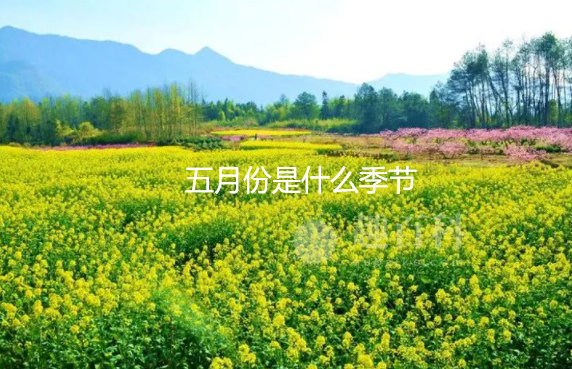 五月份是什么季节 五月份属于哪个季节