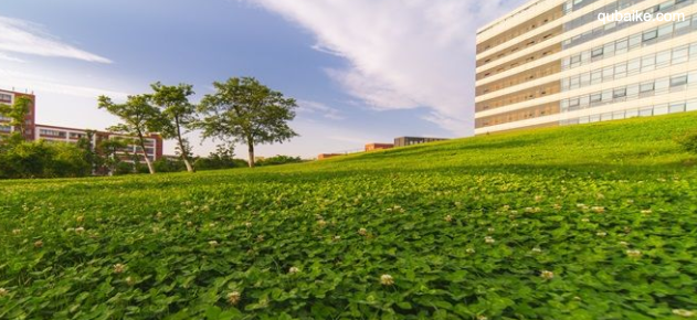 蚌埠学院是几本院校