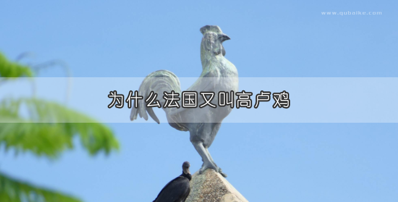 为什么法国又叫高卢鸡