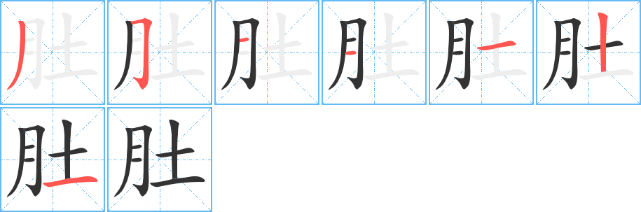 肚字笔顺怎么写