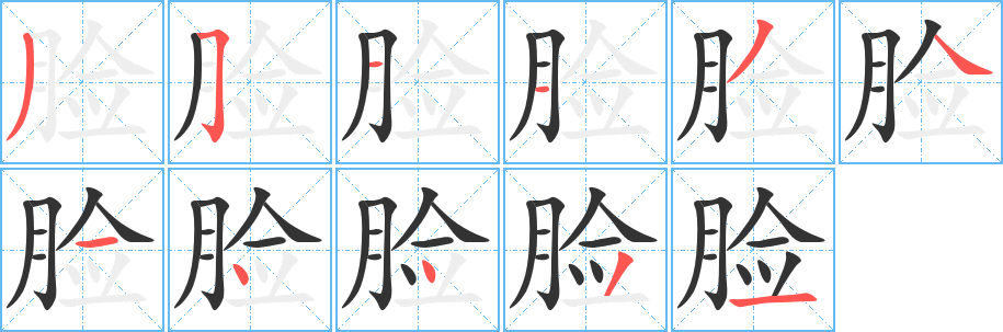 脸字笔顺怎么写