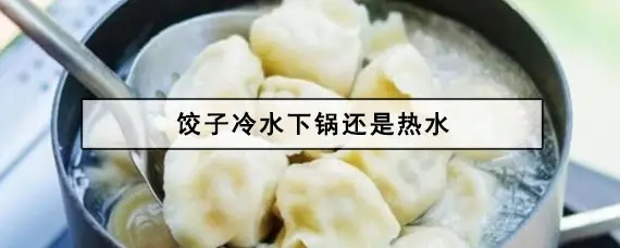 煮饺子冷水还是热水下锅好