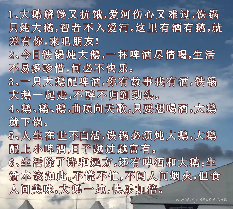 铁锅炖大鹅喝啤酒的文案