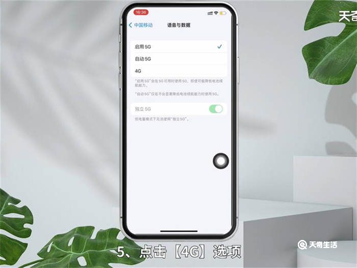 苹果手机5g变4g怎么设置 苹果手机怎么设置5g变4g