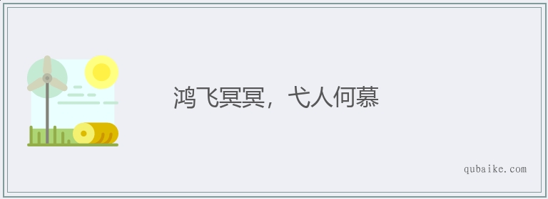 鸿飞冥冥，弋人何慕的意思