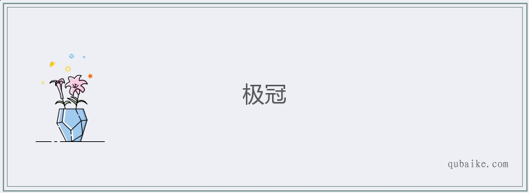 极冠的意思是什么