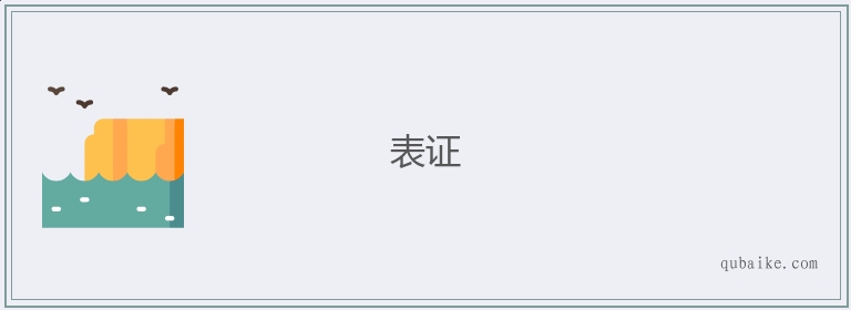 表证的意思是什么