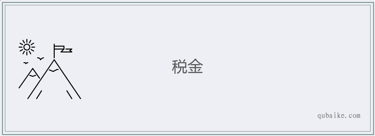 税金的意思是什么