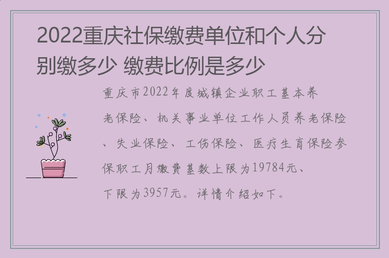 2022重庆社保缴费单位和个人分别缴多少 缴费比例是多少