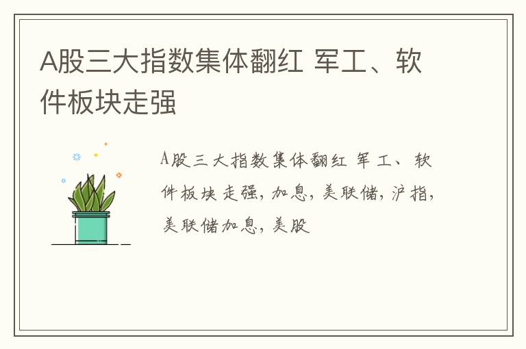 A股三大指数集体翻红 军工、软件板块走强