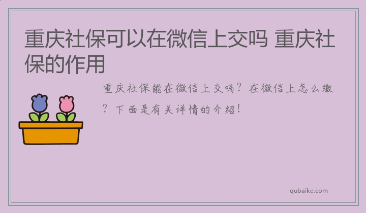 重庆社保可以在微信上交吗 重庆社保的作用