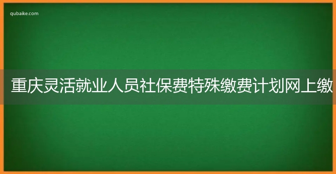 重庆灵活就业人员社保费特殊缴费计划网上缴费指南