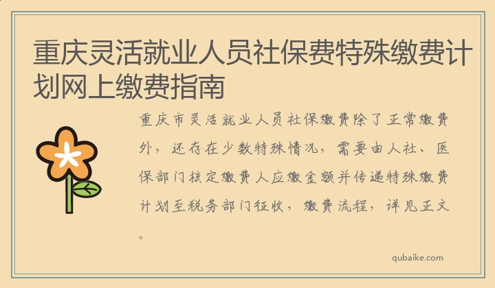 重庆灵活就业人员社保费特殊缴费计划网上缴费指南