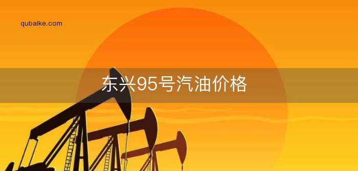 东兴95号汽油价格