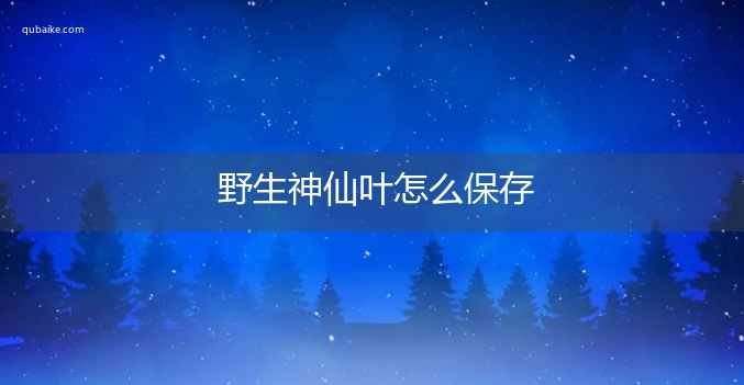 野生神仙叶怎么保存 野生神仙叶怎么的保存方法