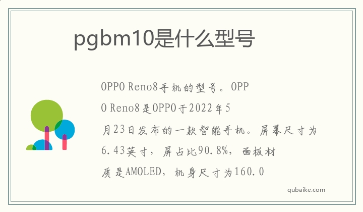 pgbm10是什么型号