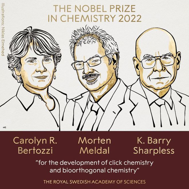 详细解读诺贝尔化学奖：他们把化学玩成了乐高玩具，还有人两获诺奖！