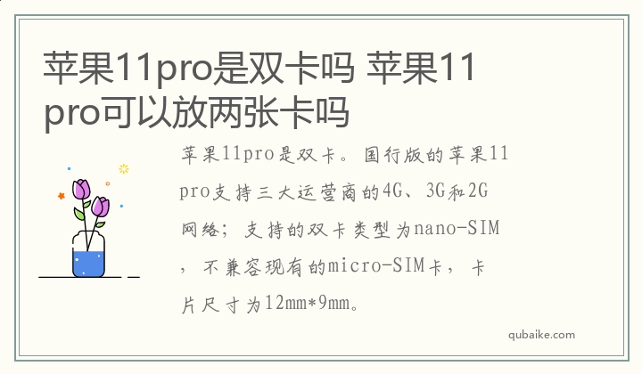 苹果11pro是双卡吗 苹果11pro可以放两张卡吗