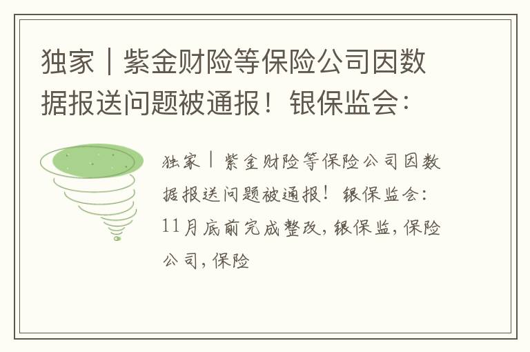 独家｜紫金财险等保险公司因数据报送问题被通报！银保监会：11月底前完成整改