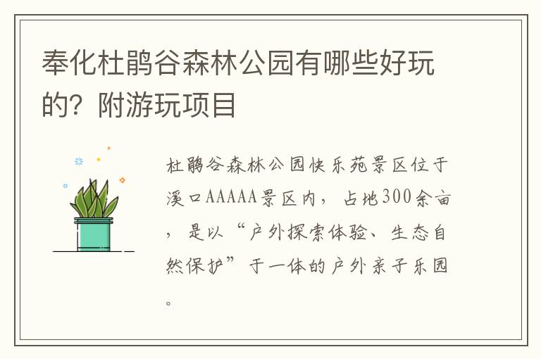 奉化杜鹃谷森林公园有哪些好玩的？附游玩项目