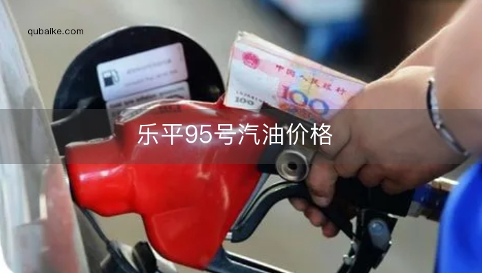 乐平95号汽油价格