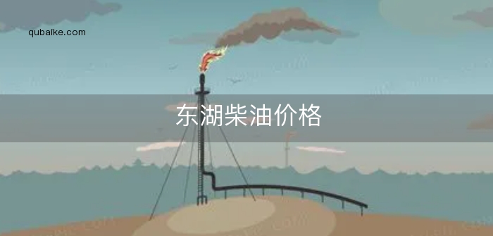 东湖柴油价格