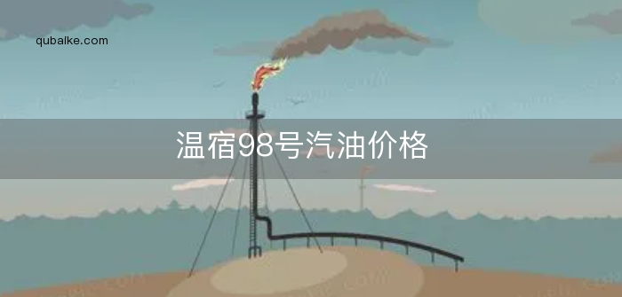 温宿98号汽油价格