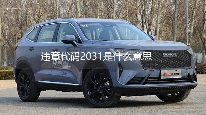 违章代码2031是什么意思