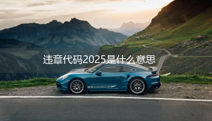 违章代码2025是什么意思