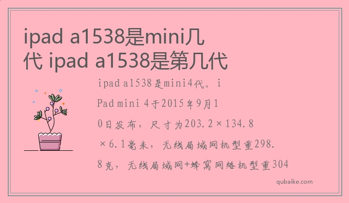 ipad a1538是mini几代 ipad a1538是第几代