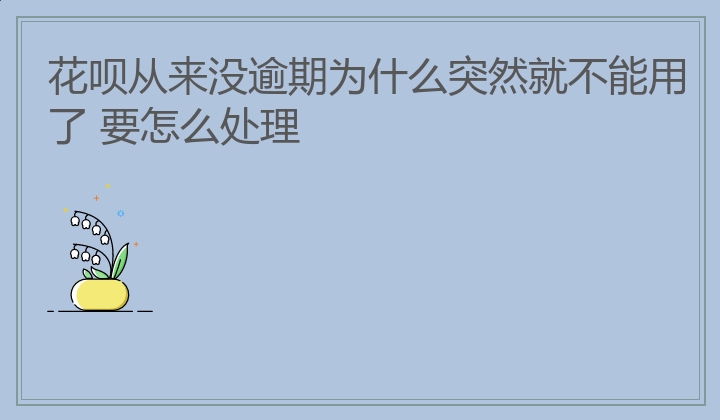 花呗从来没逾期为什么突然就不能用了 要怎么处理