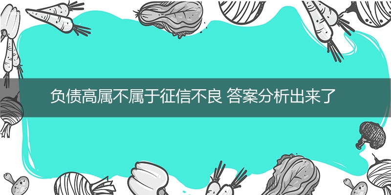 负债高属不属于征信不良 答案分析出来了