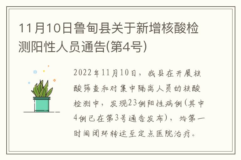 11月10日鲁甸县关于新增核酸检测阳性人员通告(第4号)
