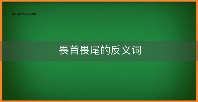 畏首畏尾的反义词