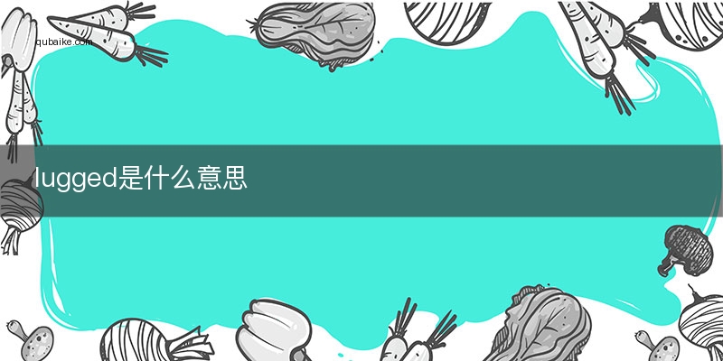 lugged是什么意思