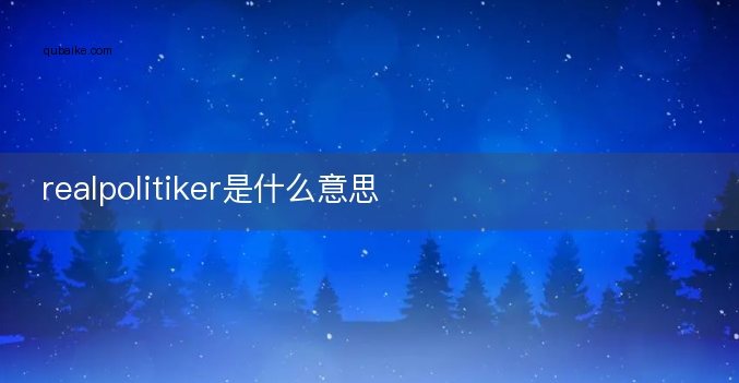 realpolitiker是什么意思
