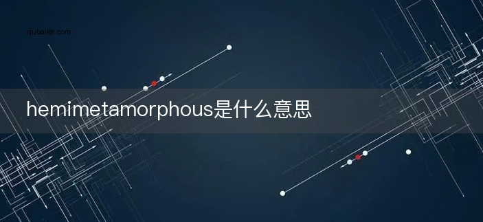 hemimetamorphous是什么意思