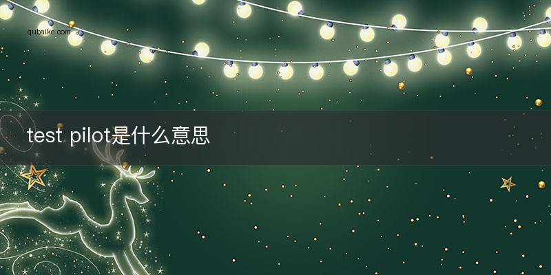 test pilot是什么意思