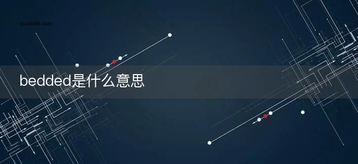 bedded是什么意思