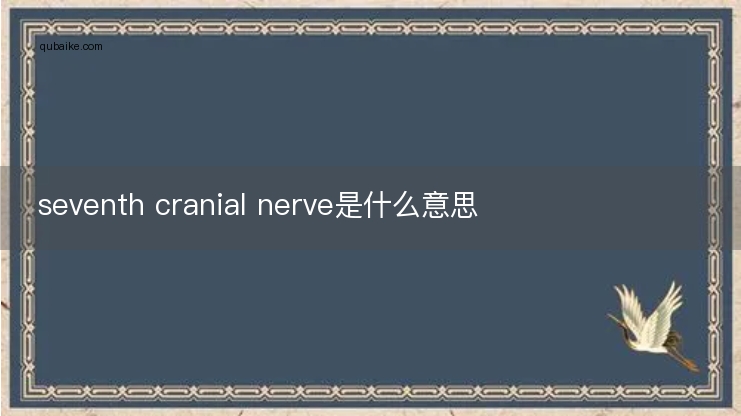 seventh cranial nerve是什么意思
