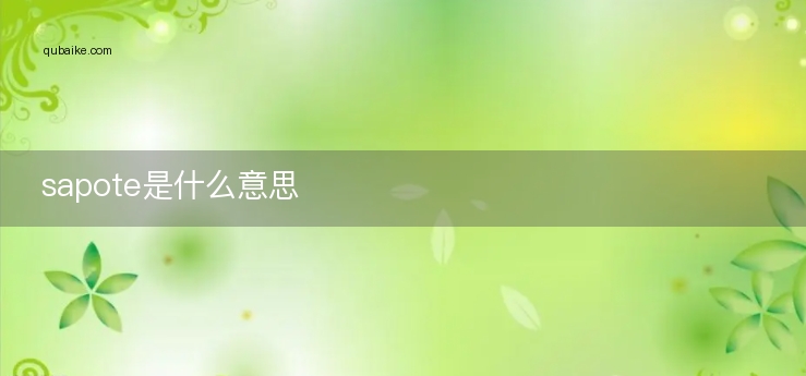 sapote是什么意思