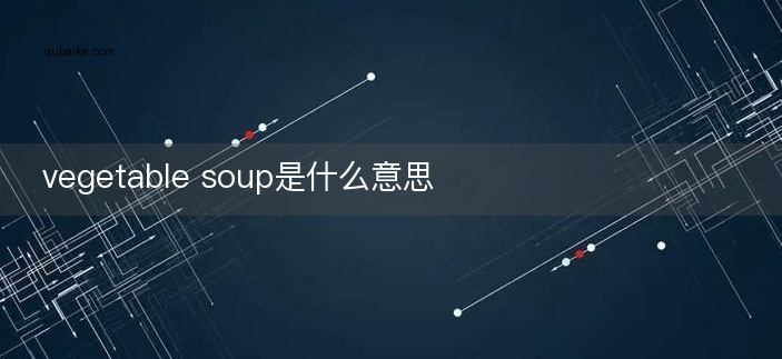 vegetable soup是什么意思