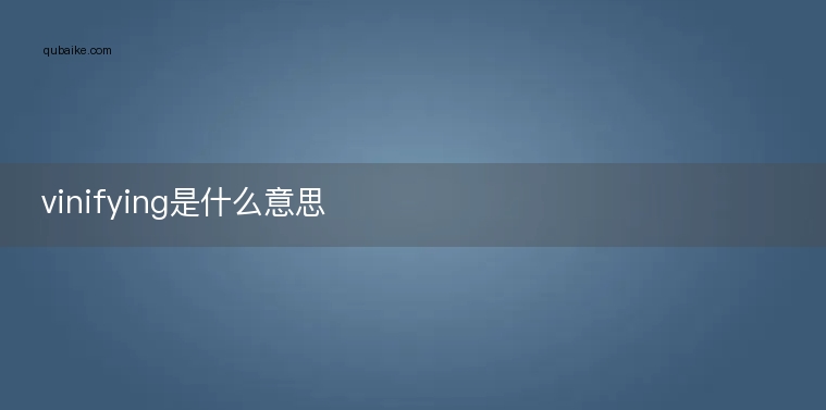 vinifying是什么意思