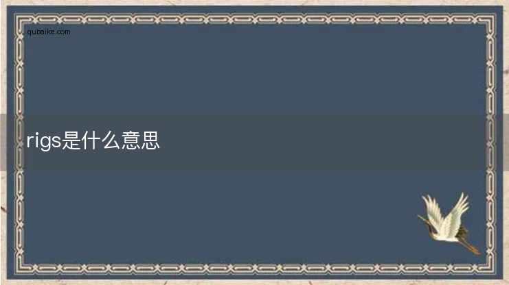 rigs是什么意思