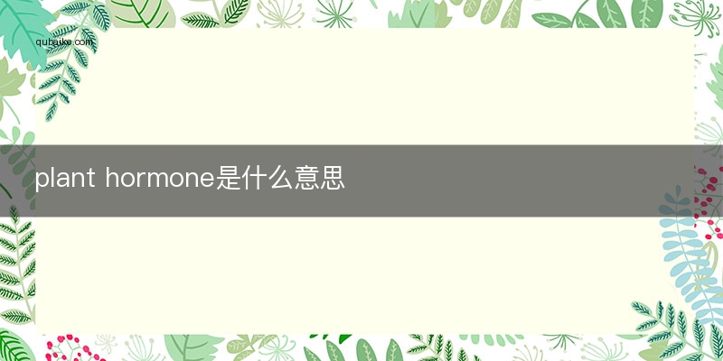 plant hormone是什么意思