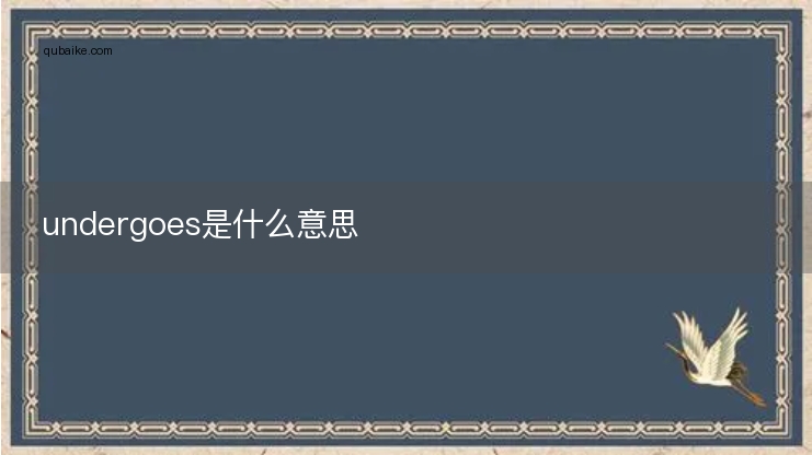 undergoes是什么意思